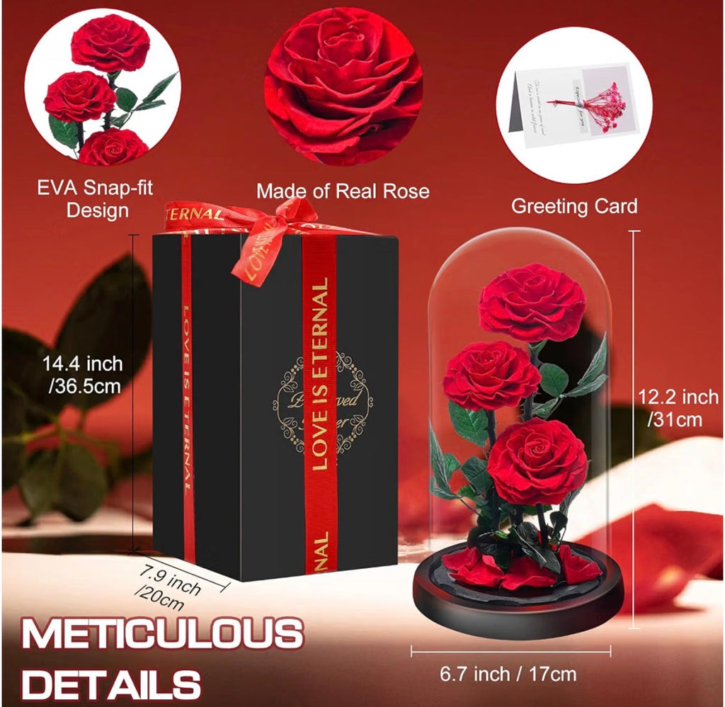 Eternal Red Rose Display 🌹 | Preserved Real Roses Gift Set