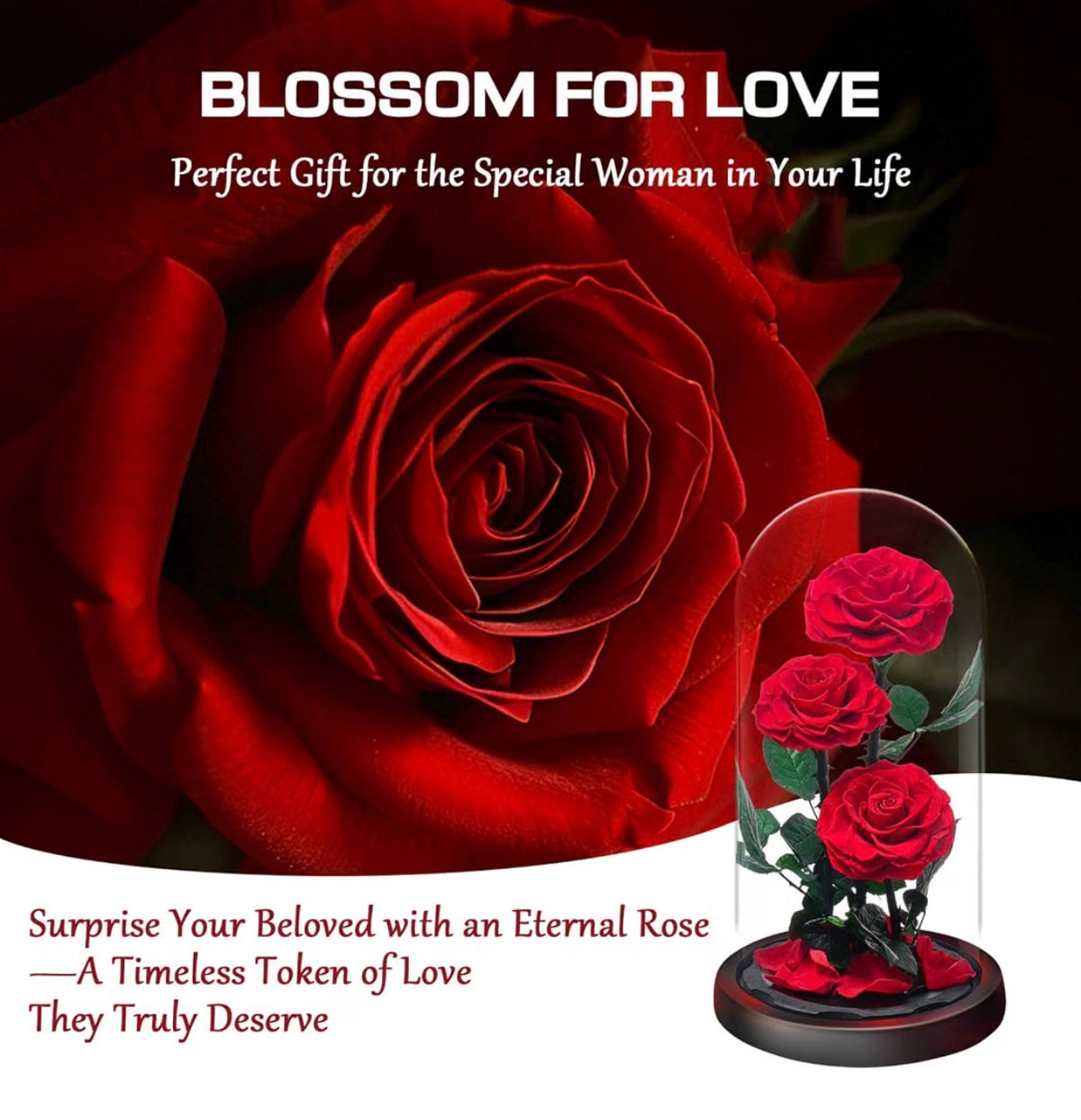 Eternal Red Rose Display 🌹 | Preserved Real Roses Gift Set